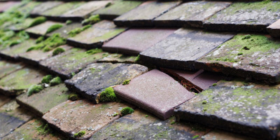 Roxton roof repair costs